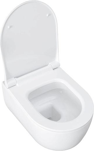 Allen Brau Унитаз с инсталляцией Priority 4.31002.20/8.9466.0.000.000.1 белый глянец – картинка-25